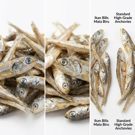 Ikan Bilis Mata Biru: Adakah Ia Spesies Sebenar atau Sekadar Nama Gred?