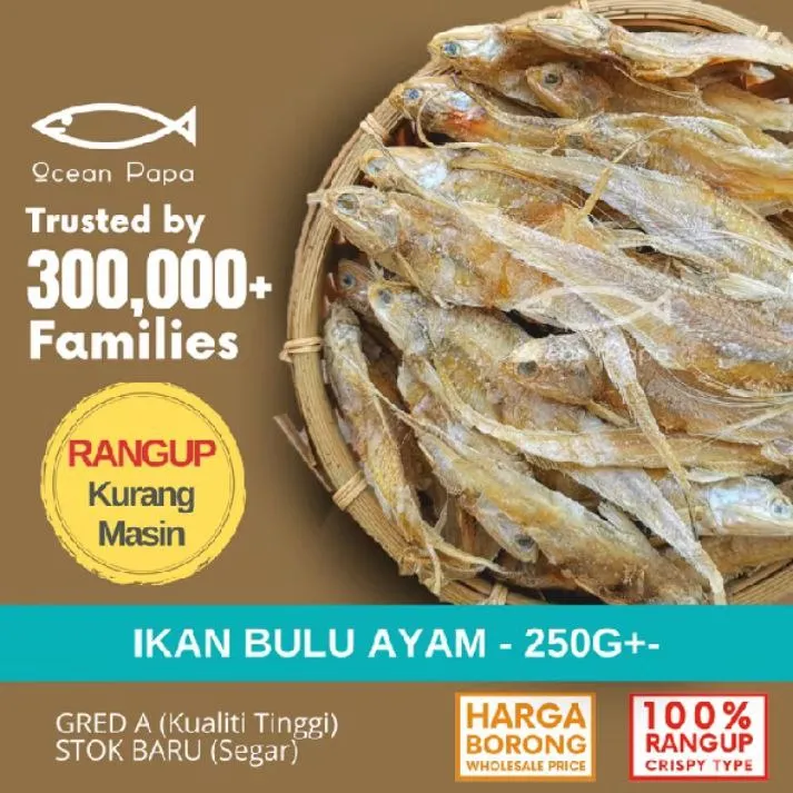 Ikan Masin Bulu Ayam Gred A - 250g